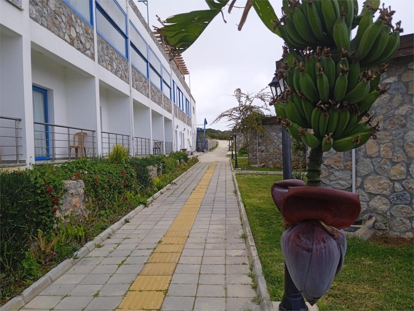 Ardic Agaci Holiday Village Famagusta  Ngoại thất bức ảnh
