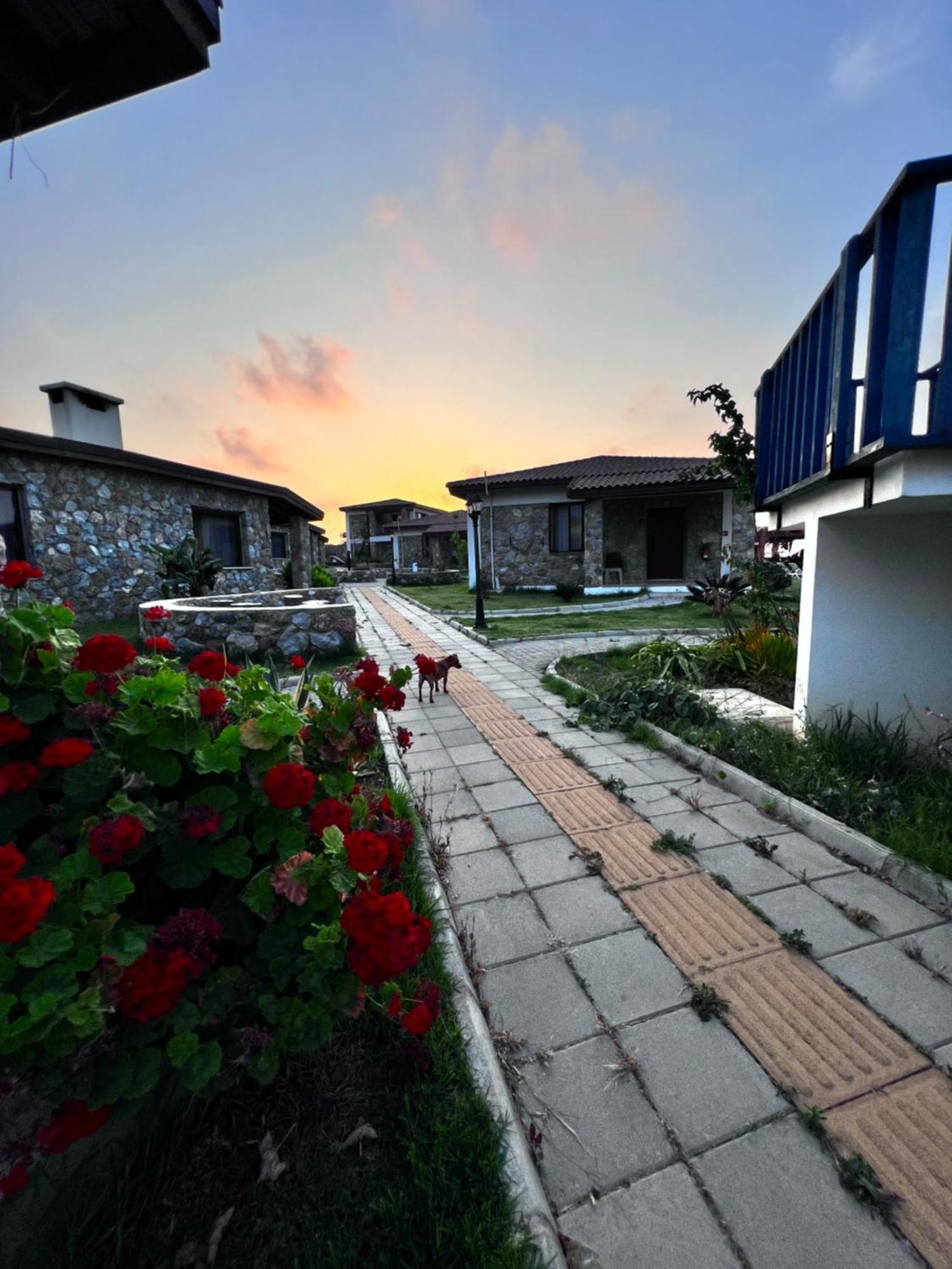 Ardic Agaci Holiday Village Famagusta  Ngoại thất bức ảnh